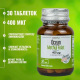 ORZAX Ocean Methyl Folate